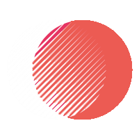 Daniel Bruno Logo